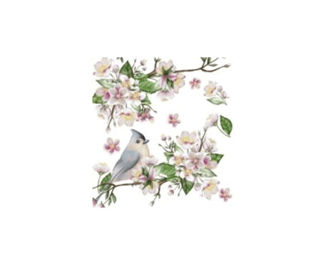 SERVILLETAS EQ DECOUPAGE 33x33CM x20 U. 7019/208809 PAJARITO
