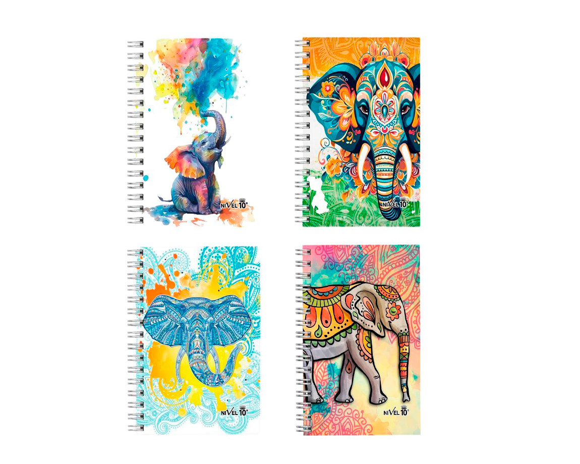 AGENDA NIVEL 10 NEW DAY 3841 ELEFANTE ESP PxD 2027