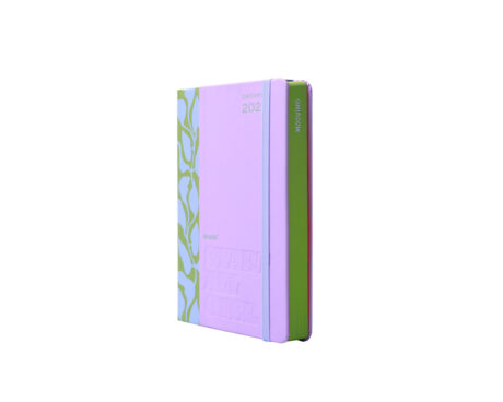 AGENDA MOOVING 1405109 15x21 DREAMER DIARIA 2027