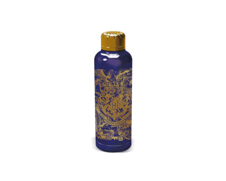 BOTELLA WABRO 1773 515ML INSU STAIN STEEL HARRY POTTER