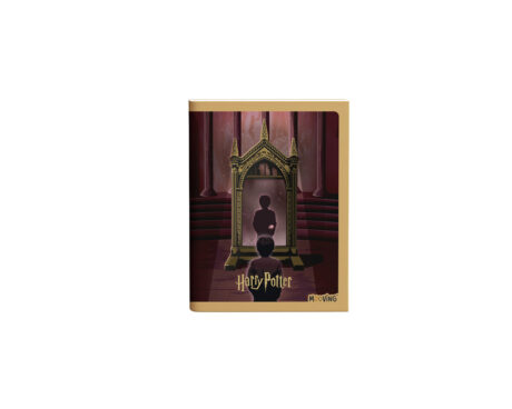 CUADERNO MOOVING 1202222 16X21 T/F ABROCH 48 HJS HARRY POTTER