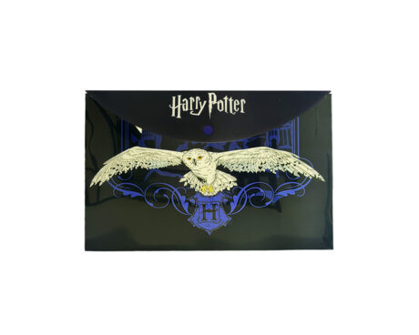 SOBRE CON BOTON HARRY POTTER A4 4222227