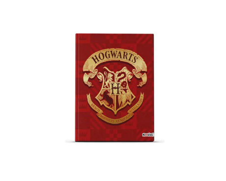 CUADERNO MOOVING 1224222 19x24 T/D x 48 HS HARRY POTTER
