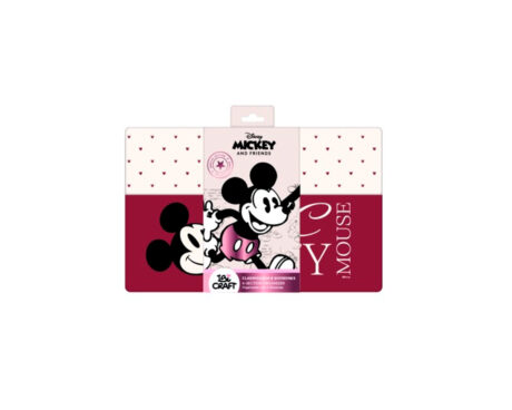 CLASIFICADOR FUELLE A5 BORDO MICKEY & FRIENDS